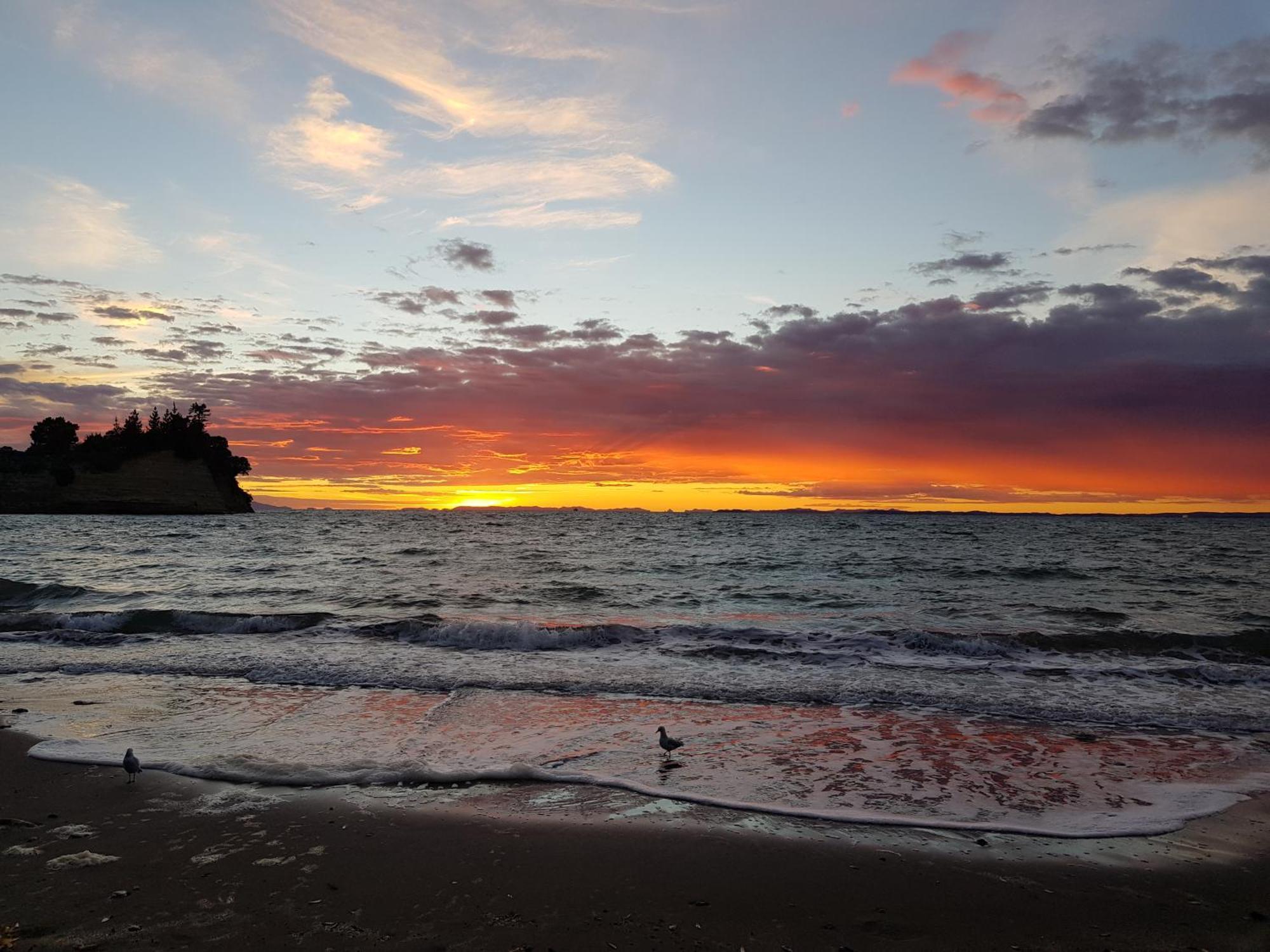 Whangaparaoa Lodge Eksteriør billede